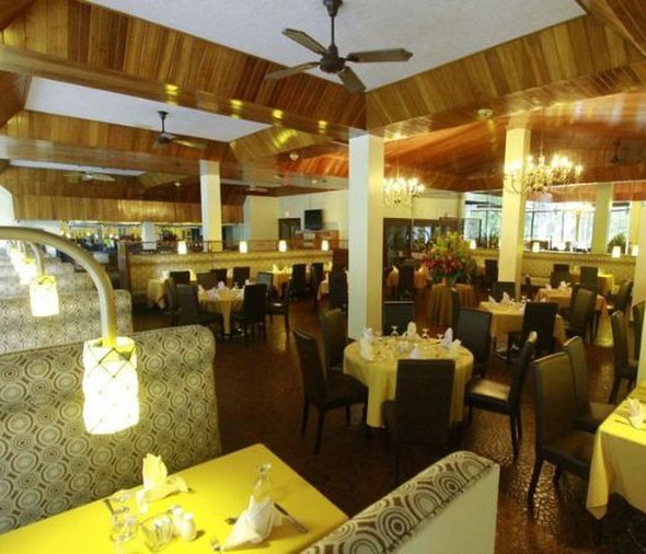 otros servicios bambito